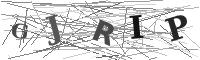 Please refresh your browser to see this image.